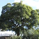 황산공원(황산B) 이미지