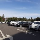 중앙공원 주차장정문 네이버블로그