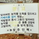 안주도둑놈 이미지