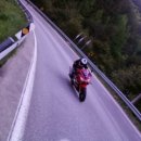 안녕동해야 이미지