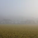 고향마을 이미지