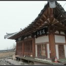 영주동반구정 이미지