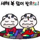 비토애풀빌라펜션