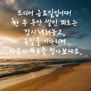 2026년 05월 29일 금요일 미래 정 대문을 오픈 합니다 이미지