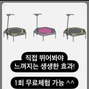 킹&퀸점핑하이
