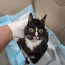 역동로 64 이미지