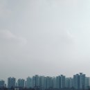안성베네스트G.C | KLPGA 롯데오픈 개최지~ 베어즈베스트청라CC (미국코스,유럽코스)늦은 라운딩후기~
