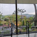 파인트리비 이미지