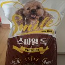 스마일독 이미지