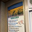 제주토종흑돼지 이미지