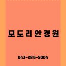 내눈안경 이미지