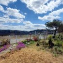 원하농장 이미지