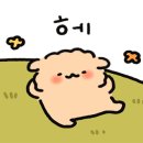 사하라동물병원 이미지