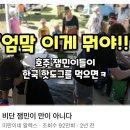미란이네눈아 제목 앙끼하게 잘 쓰신다 이미지