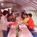 솔밭개울 이미지