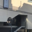 젠스시 이미지
