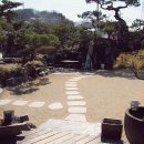 나무(Namoo) 이미지