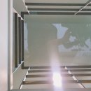 스테이레올 이미지