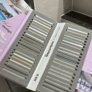 도담 - 고흥군 고흥로 1751 | 내돈내산 가성비 좋은 도담줄눈 케라폭시 후기 가격 폴리우레아 비교