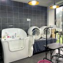 꼰띠고애견펜션 이미지