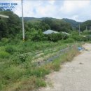 원통초 신덕분교장 이미지