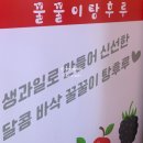 부산 서면 탕후루 요즘 핫한 꿀꿀이탕후루 부산서면점 솔직 후기 (+ 배민 주문 가능, 메뉴, 가격...