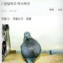 숨쉬는순두부 이미지