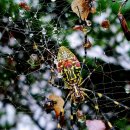 하대2리 이미지