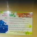 중국정통아로마 이미지