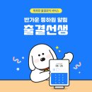 루바토음악학원 - 전주시 덕진구 세병로 171 | 루바토음악학원