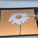 아이패드로 그림그리고 부업까지 | 아이패드 구매 고민 중이시면 보지 마세요. N년차 사용후기+대놓고 광고입니다