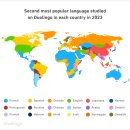 세계인들이 듀오링고에서 가장 많이 배우는 언어 순위 이미지