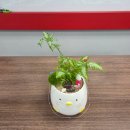 백양종합복지관 이미지