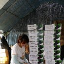 상연농장 이미지