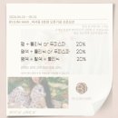 바이주니헤어다일점