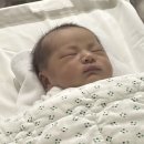산본제일병원(26042) | 산본제일병원 출산 후기, 자연분만 시도에서 응급제왕 엔딩