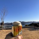 정글돔풀빌라 앤 글램핑 이미지