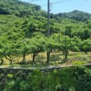 새동네농장 이미지