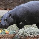 서울대공원 이미지