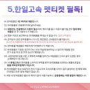 코카스파니엘 감귤 :: 한일고속페리 펫크루 3기가 된 감귤이의 제주도-육지 여행🧡