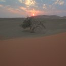 힘찬동물약국 | [아프리카]10(나미비아2)_세스림투어 후→월비스베이로 - 세스림(소서스블레이)투어 및 듄45 일출, 데드...