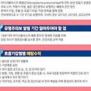 폐렴 마이코플라즈마 원인 폐렴 전염 정리 이미지