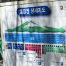 포천계곡캠핑장 | 포천계곡캠핑장 후기｜그늘 가득 계곡 바로 옆 여름 캠핑장