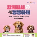 사우문화체육광장 이미지