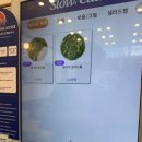 슬로우캘리숭례문점 이미지