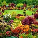 쌍용당왕공원 이미지