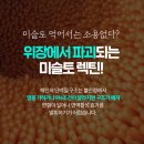 엠에스에프 - 하남시 조정대로 35 | 엠에스에프