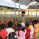 한우샘농장 이미지