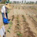 남해갯마을하우스 이미지