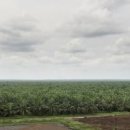 동남바이오농장 이미지